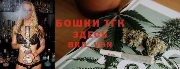 экстази Няндома